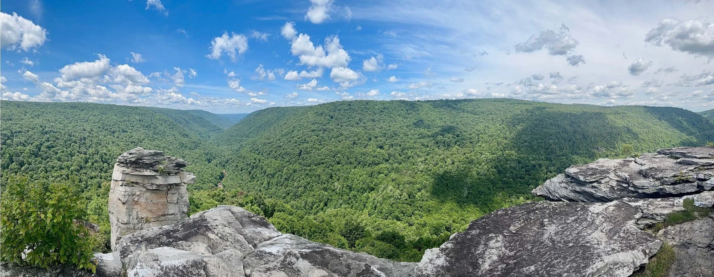 View from Lindy Point in Blackwater Falls State Park in Tucker County, WV.