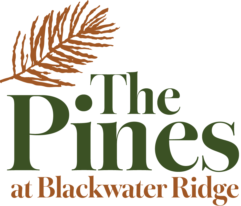 Logo for The Pines at Blackwater Ridge featuring a brown pine branch and green text.