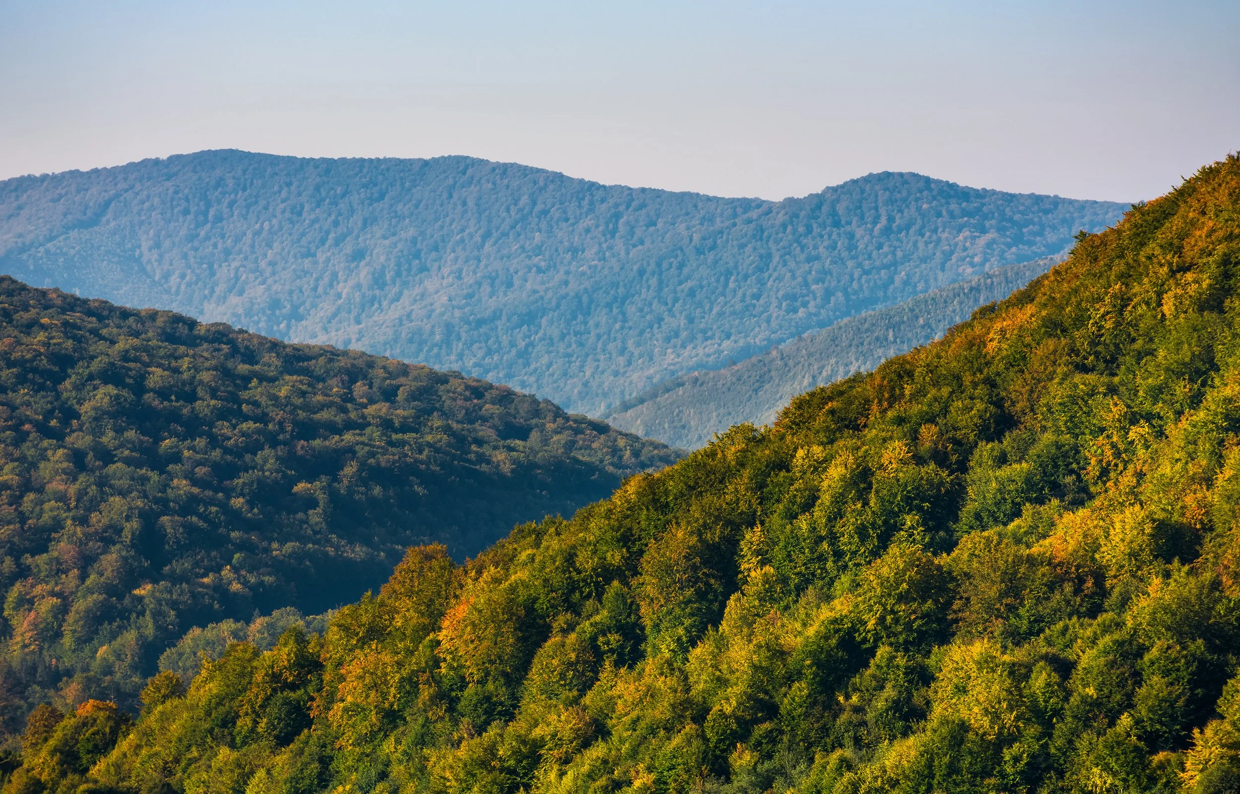 Blackwater Ridge | Explore Affordable Living Today