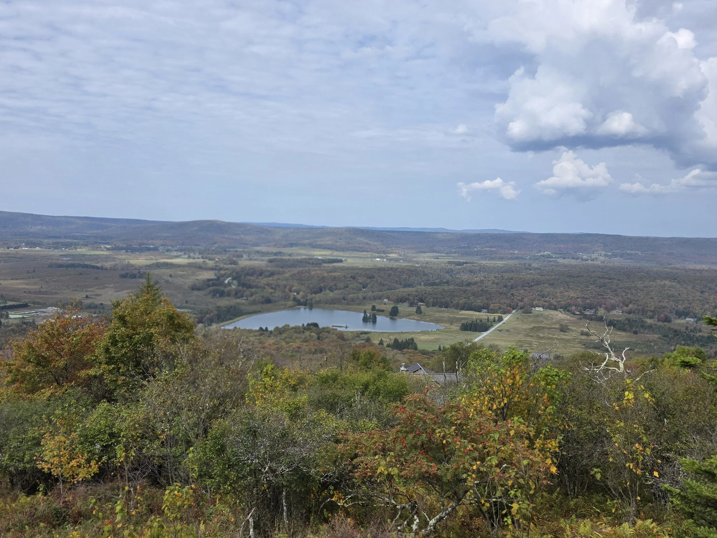 View of the Timberline community from Dolly Sods in Tucker County, WV