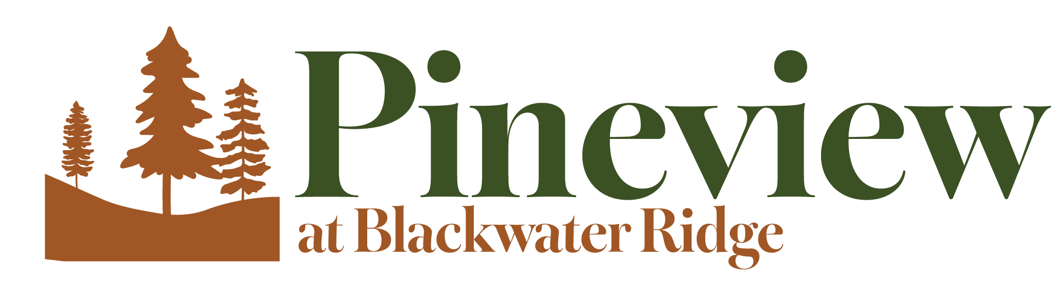 Pineview Apartments offers subsidized housing for low income seniors and persons with disabilities in Thomas, WV.