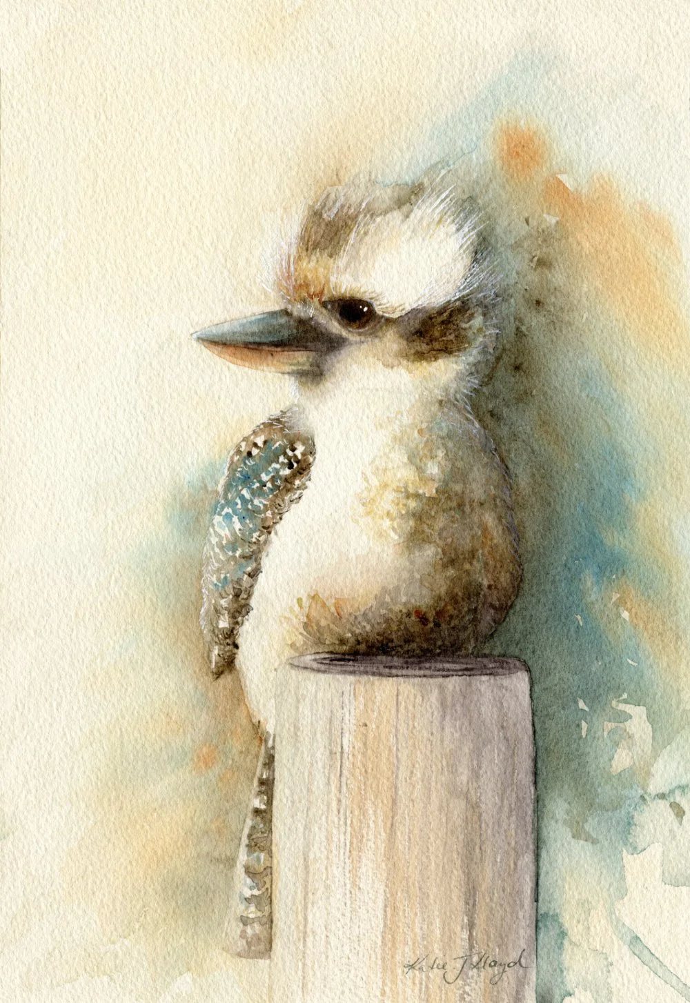 Little Kookaburra - Watercolour & Ink on paper