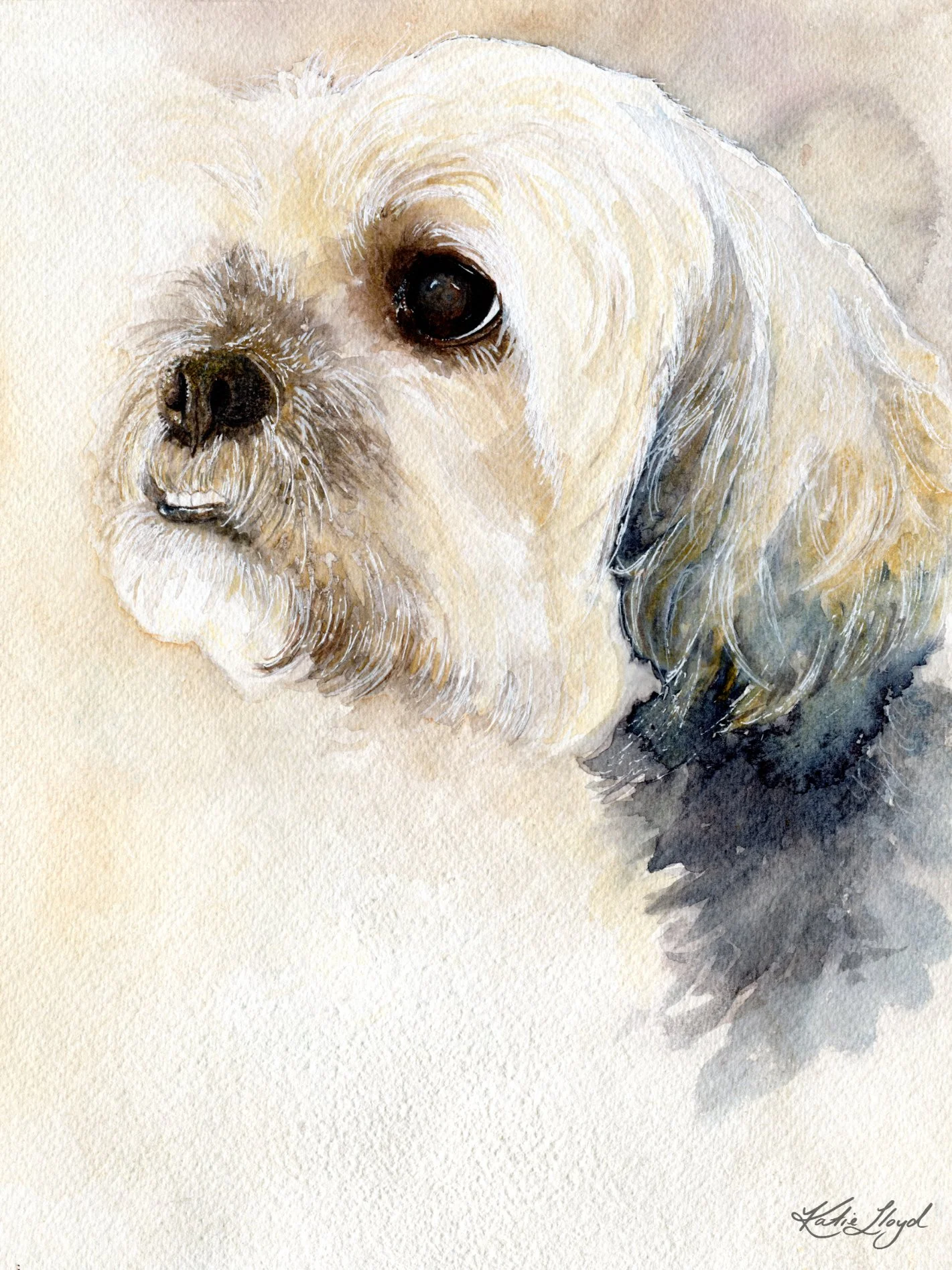 Charlie - Watercolour & Ink on paper