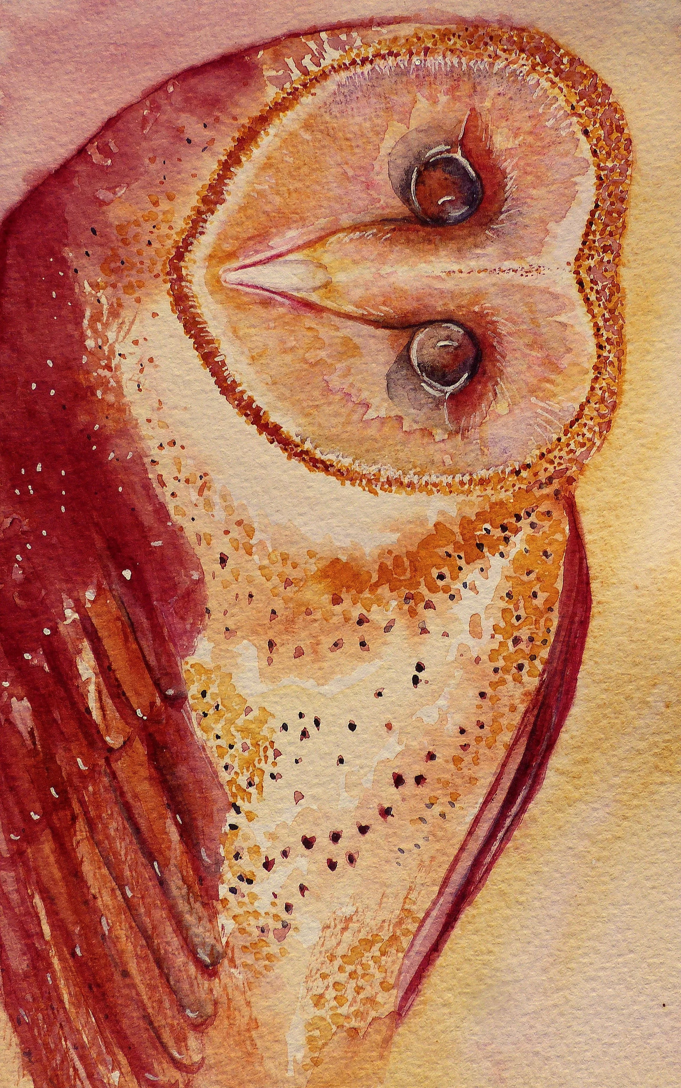 He's looking at you - Watercolour & Ink on paper