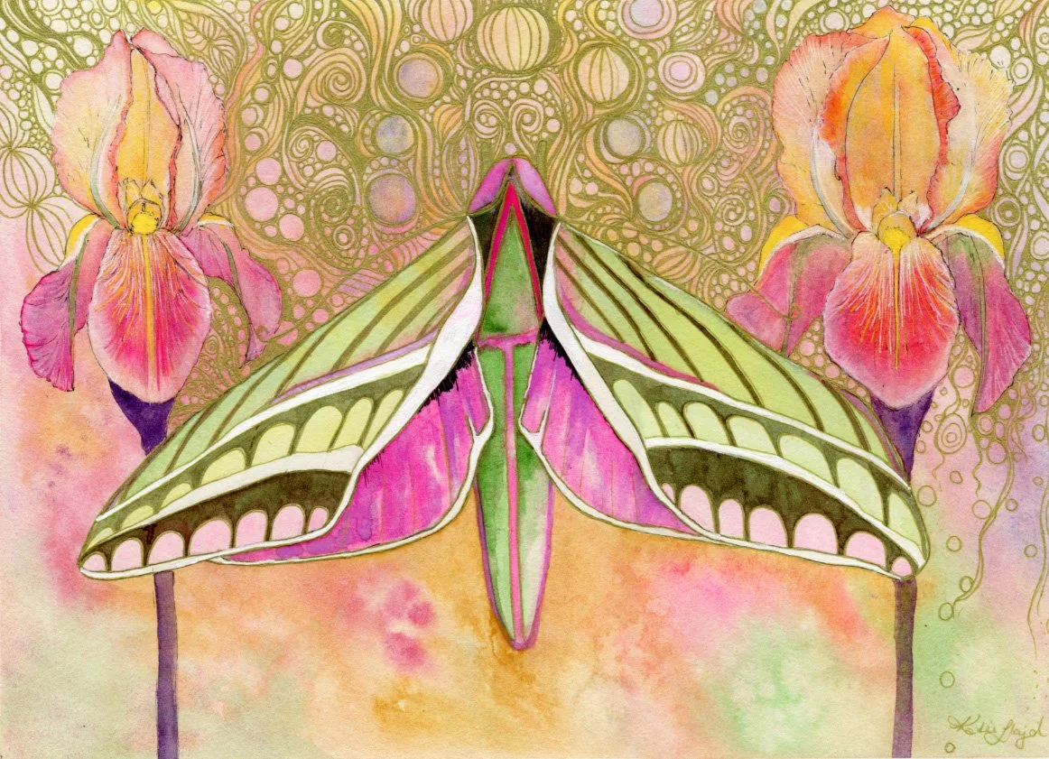 Golden Falena - Watercolour & Ink on paper