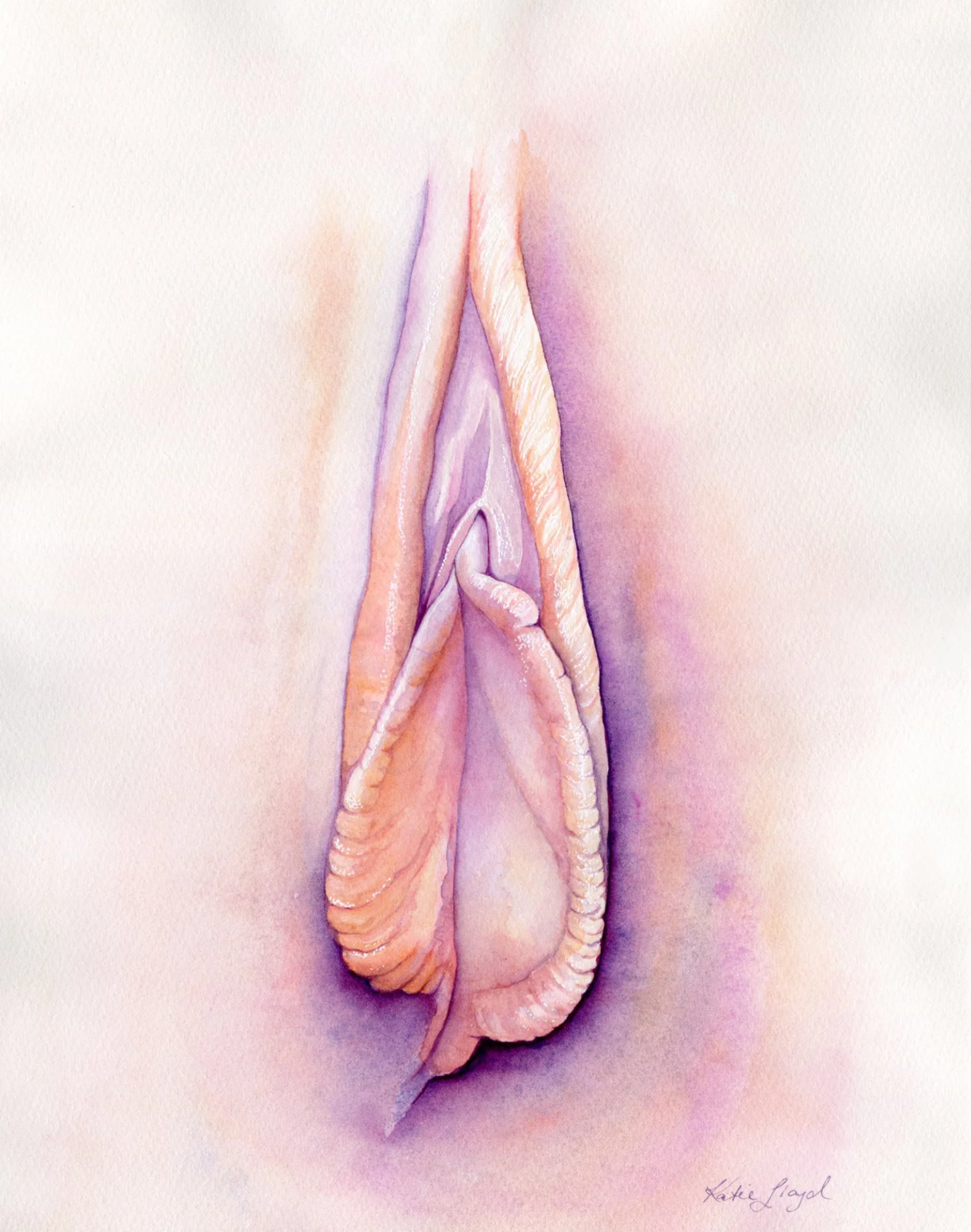 Cream - Watercolour & Ink on paper