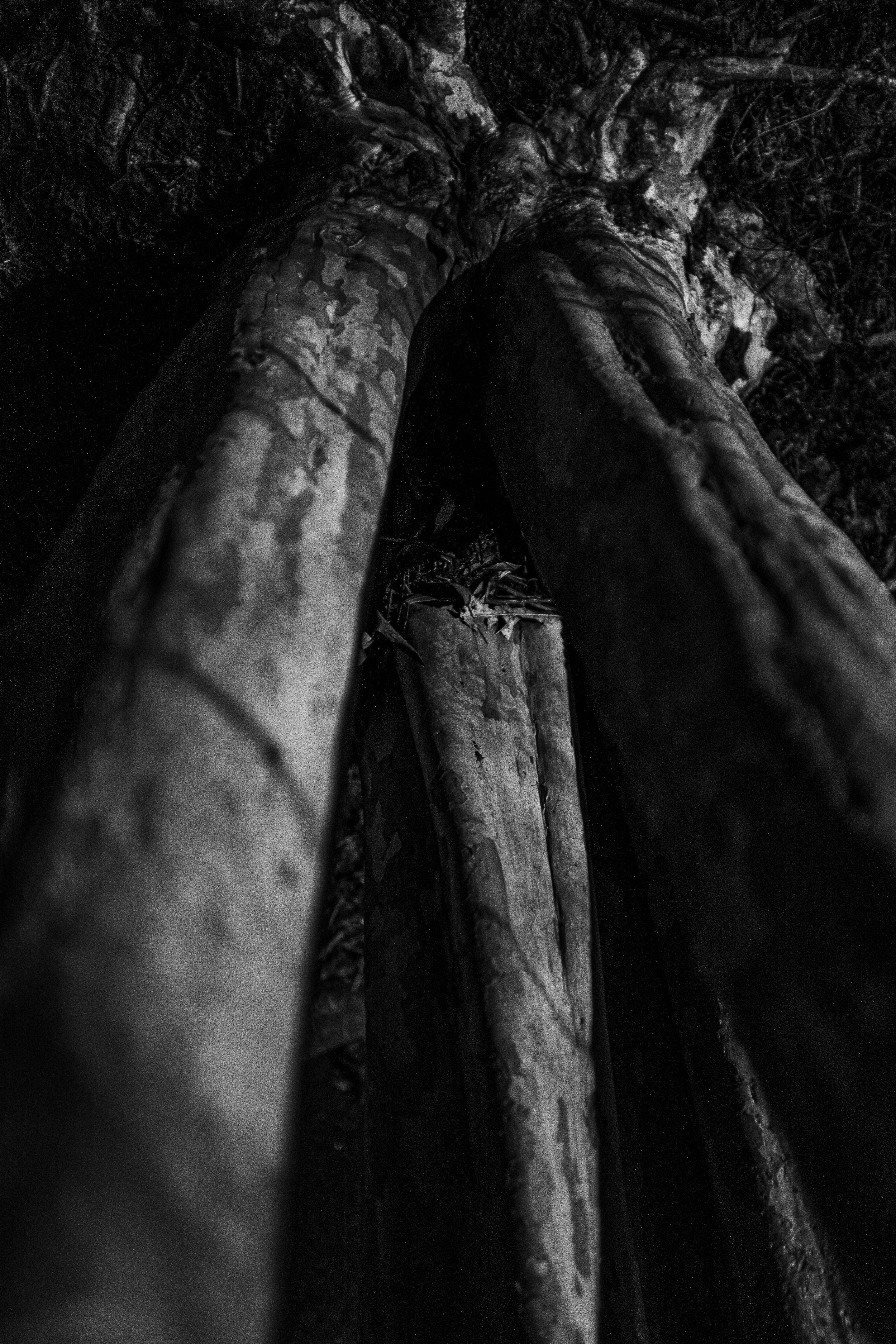 Arms clutching earth