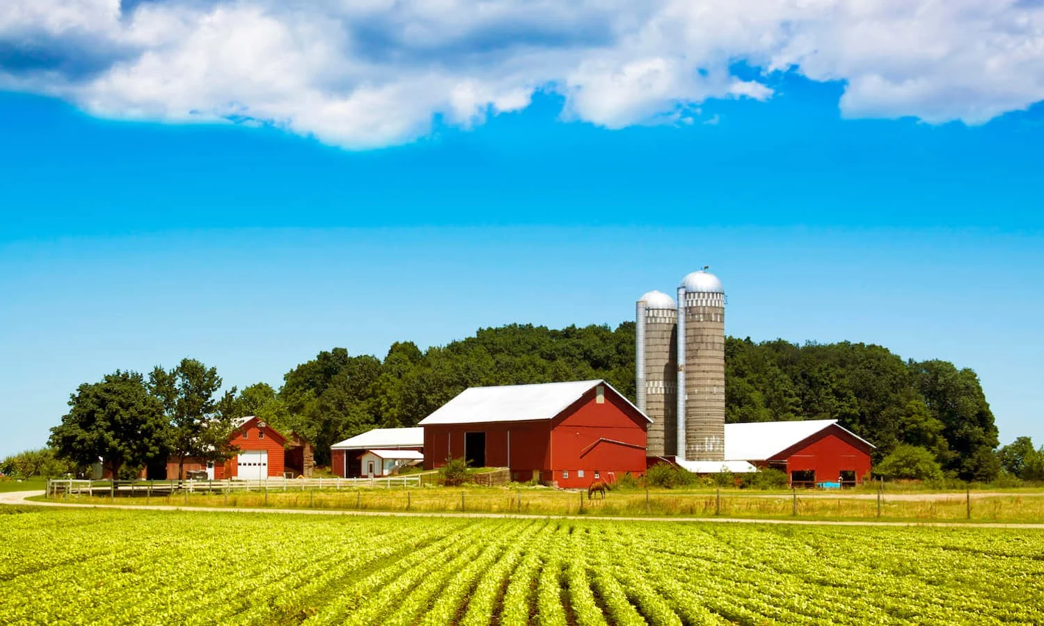 A farm with red barns, silos, green fields, trees, and a blue sky with clouds.