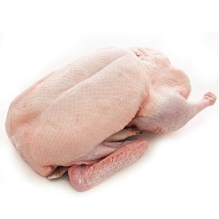 Frozen Headless Duck (Canada) | 加拿大凍無頭鴨