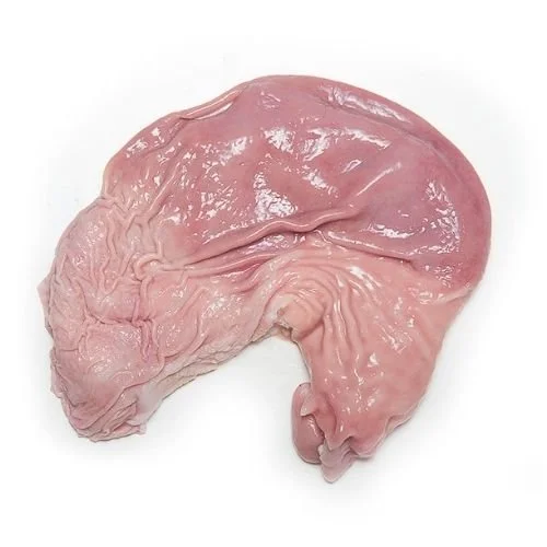 Pork Stomach (Pineridge) | 猪肚