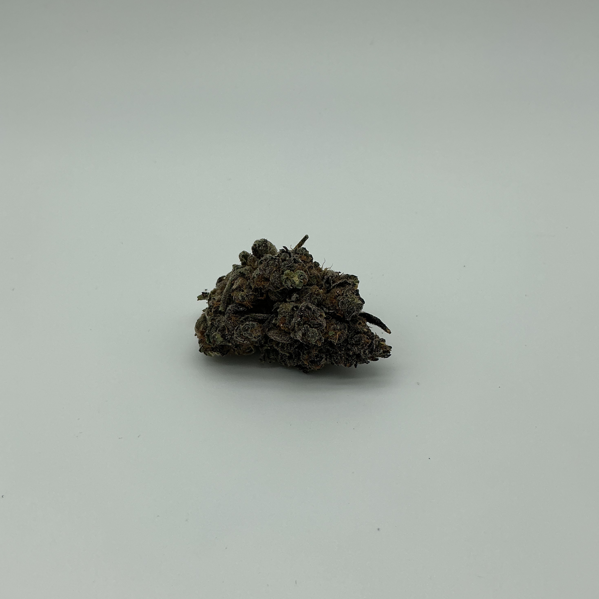 GELATO 33 (2).png