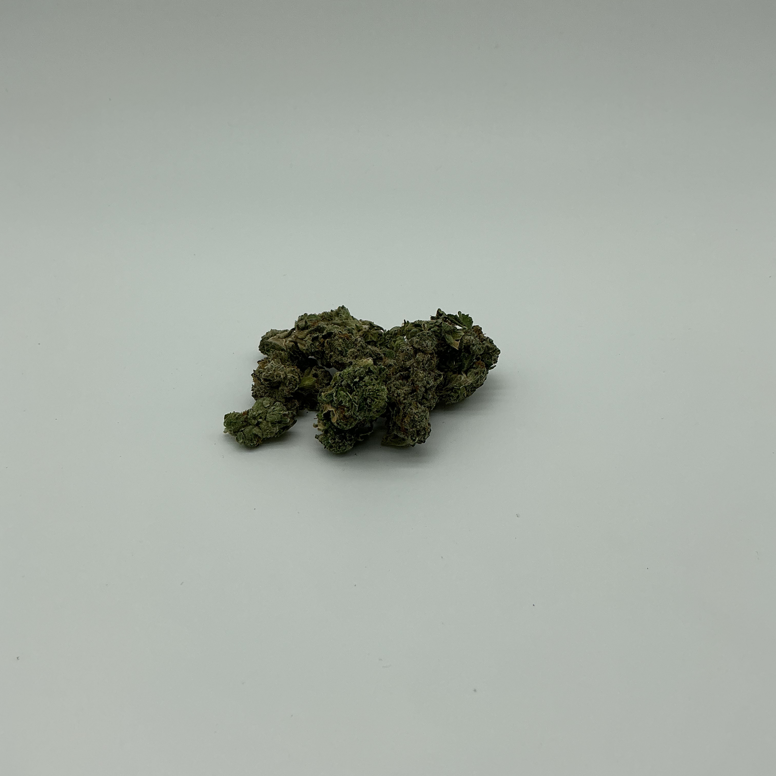 DESIGNER RUNTZ (2).png