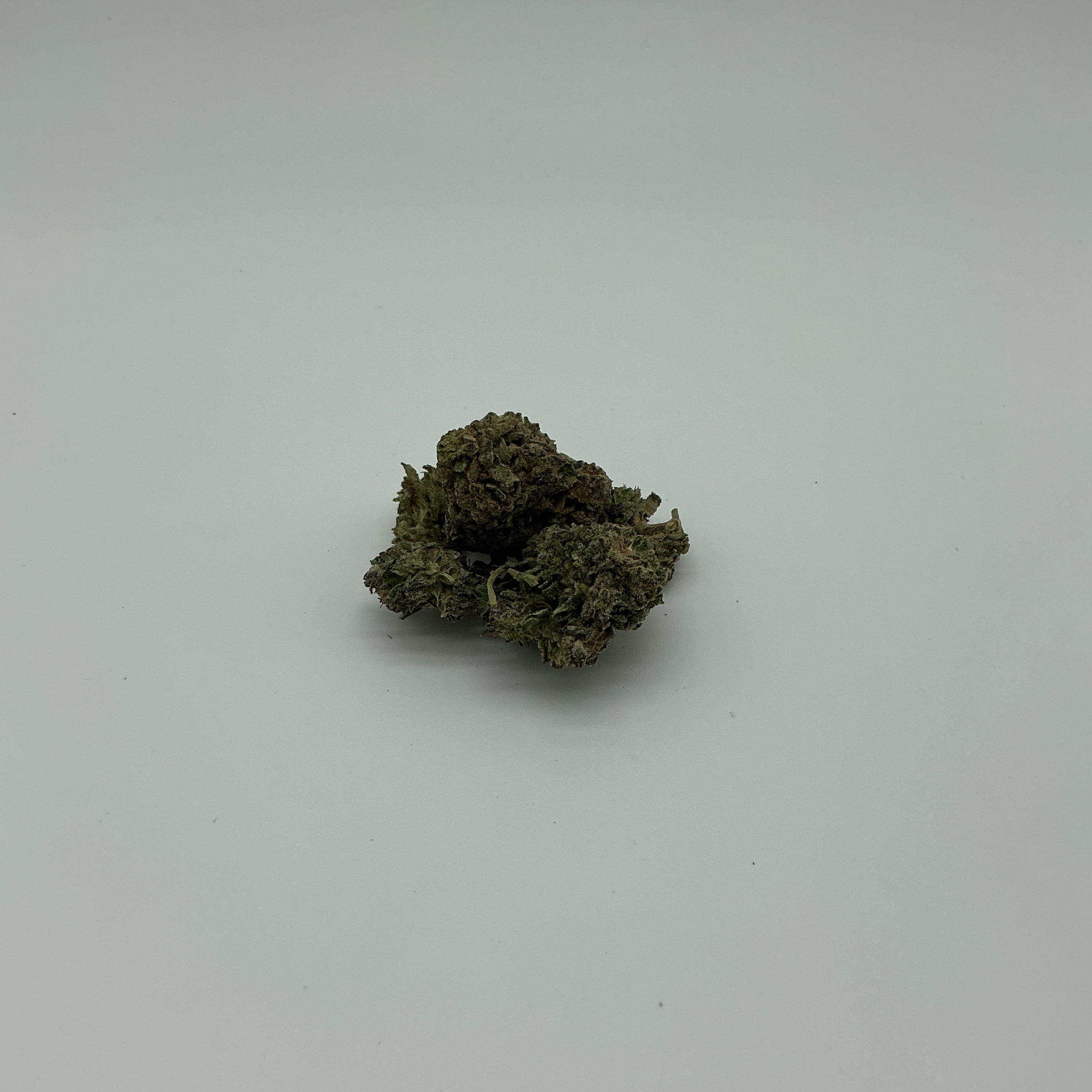 MONKEY BREATH (2).png