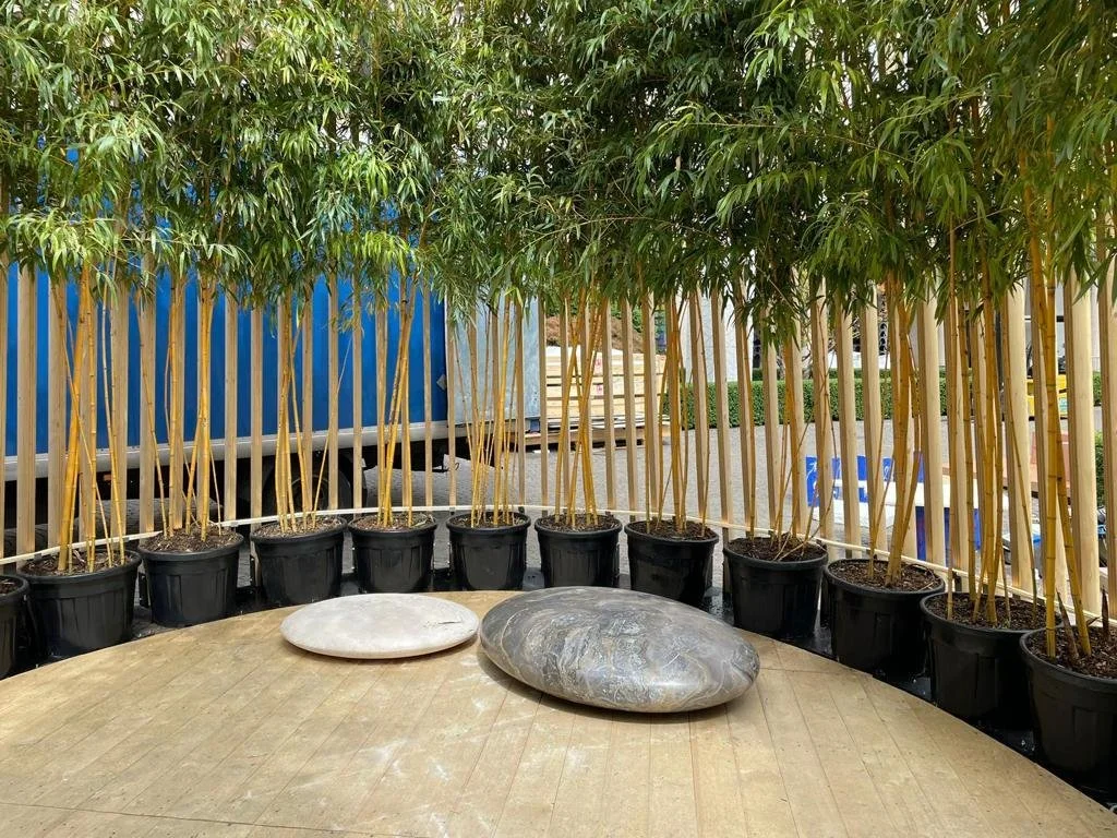 2023-04-15_14-59-23_000 (2023-04-16T00_34_04.201).jpeg