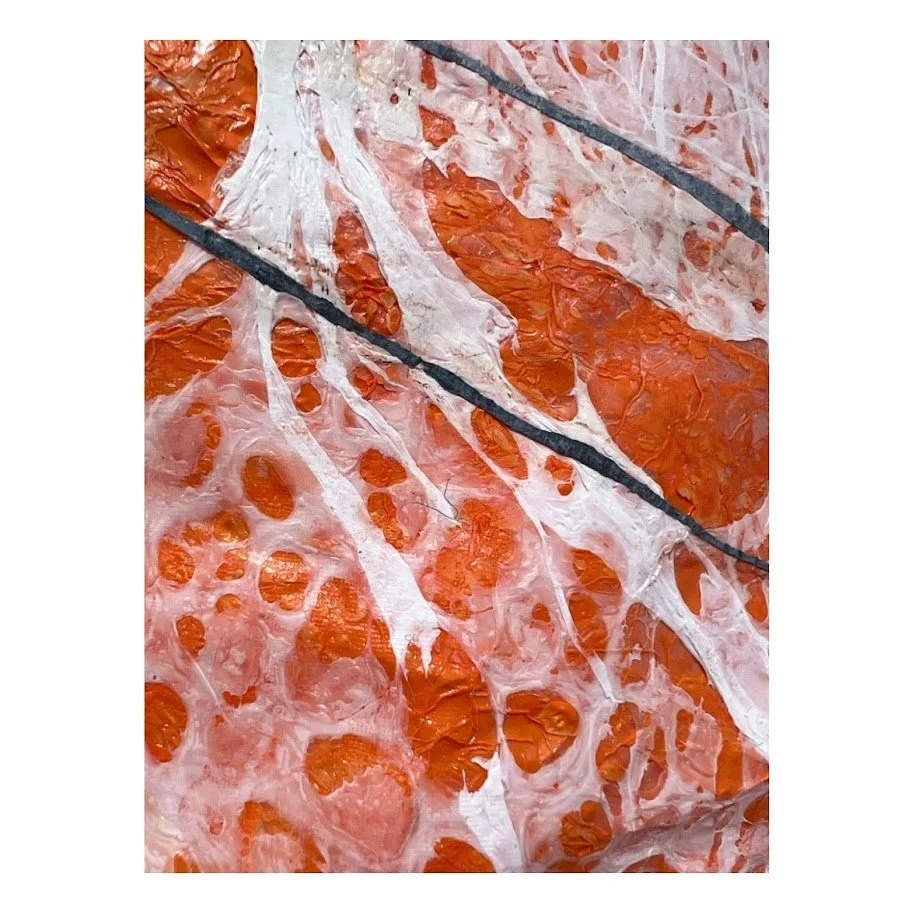 Riding the Aqua Blue Schwinn Bicycle 3.jpg