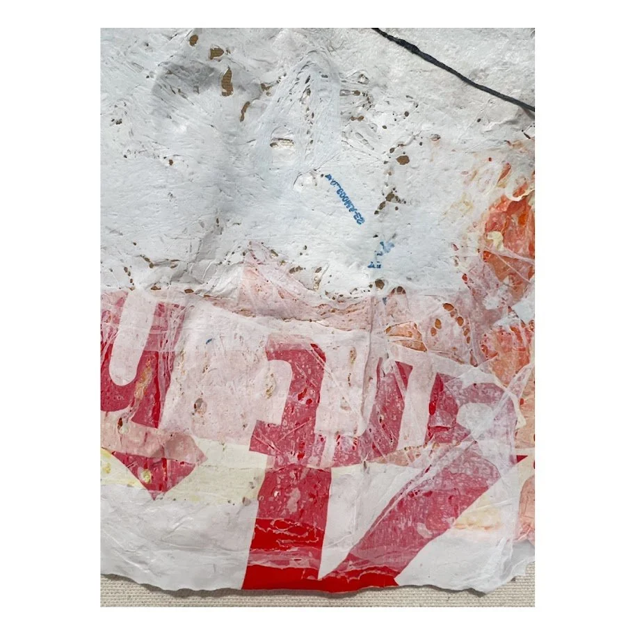 Riding the Aqua Blue Schwinn Bicycle 4.jpg