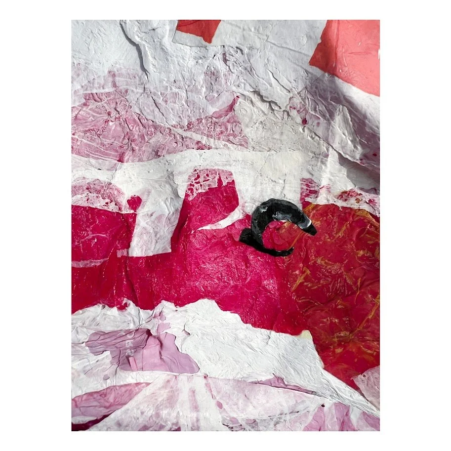 Riding the Aqua Blue Schwinn Bicycle 8.jpg