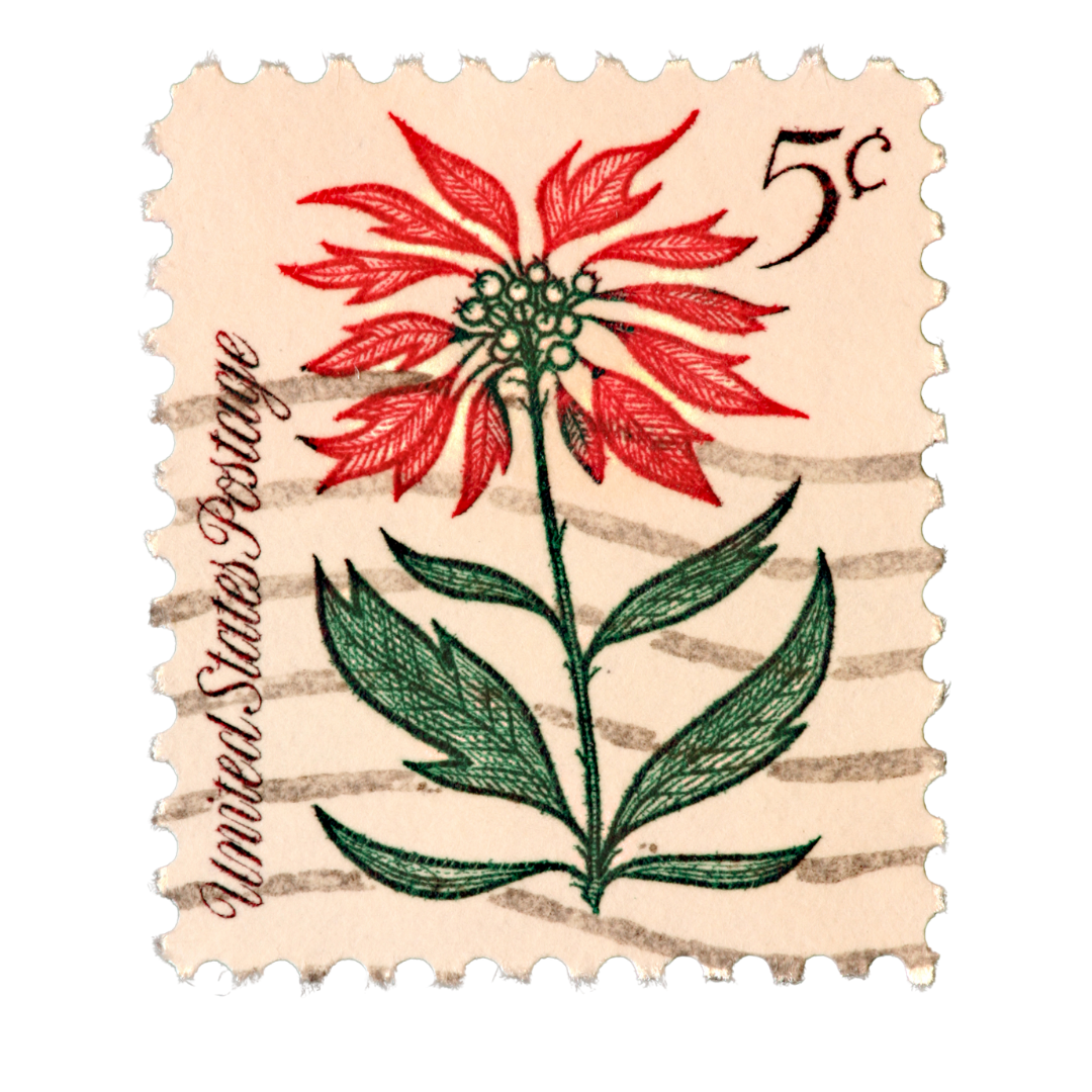 A vintage 5-cent postage stamp featuring a red and green illustration of a flowering poinsettia plant, with a lavender horizontal postmark and the words 'United States Postage' on the side.