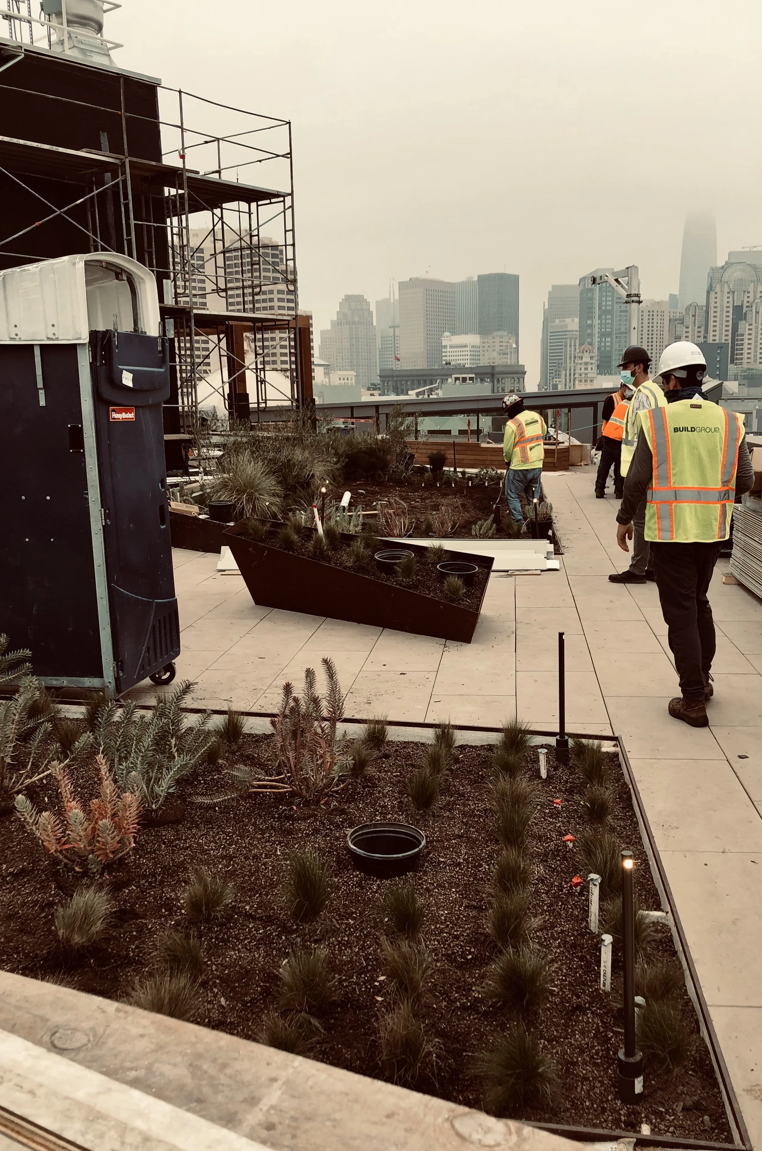 Commercial landscapers in safety vests and helmets working on a rooftop garden with city skyline in the background.
