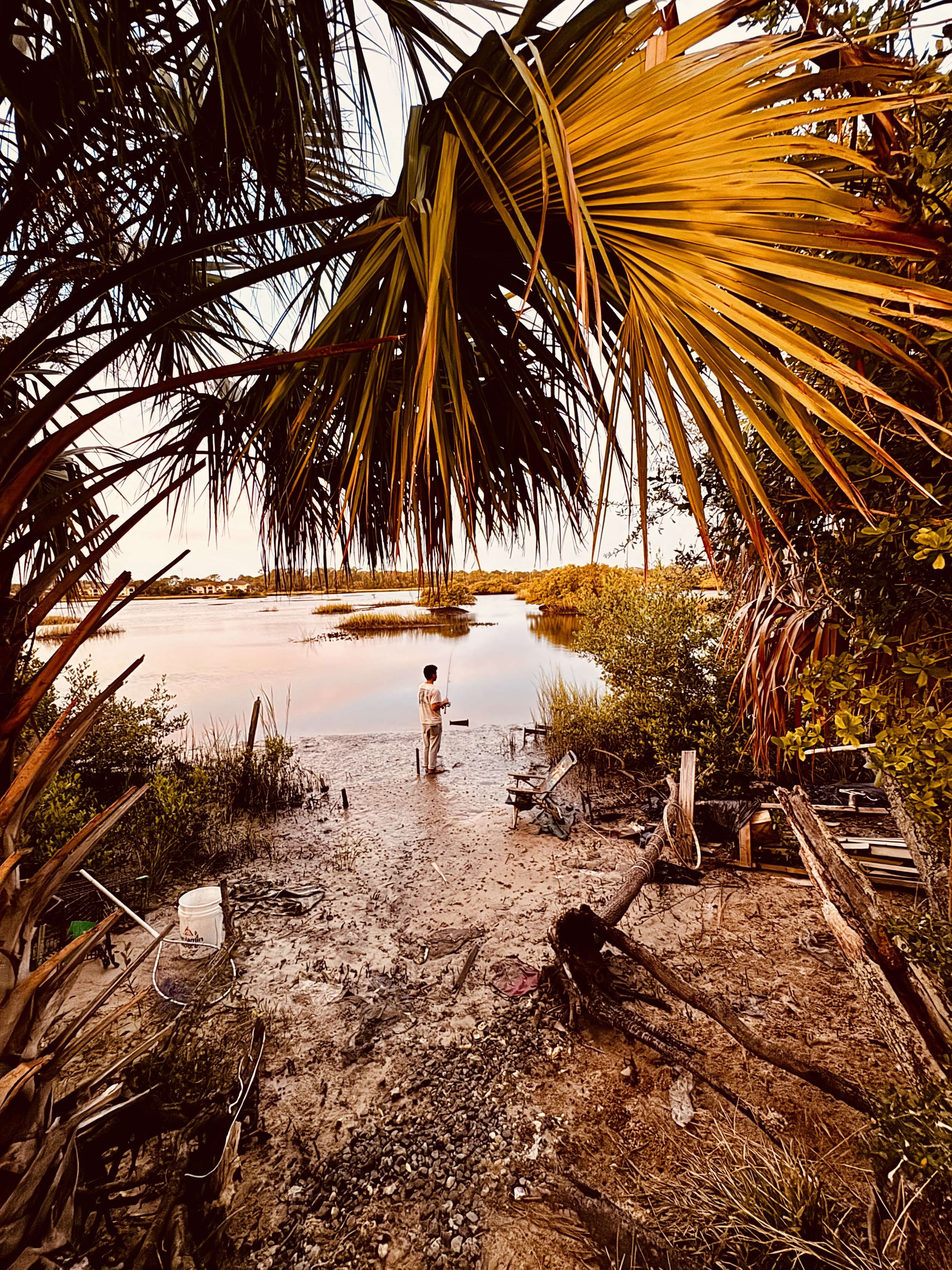 A person fishing on a riverbank framed by palm trees with lush vegetation, a sandy shore, and driftwood during sunset.