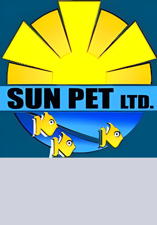 Sun Pet Ltd. logo featuring a yellow sun with abstract rays, three yellow fish with big eyes swimming in a blue background, and the company name in bold black letters on a blue banner.
