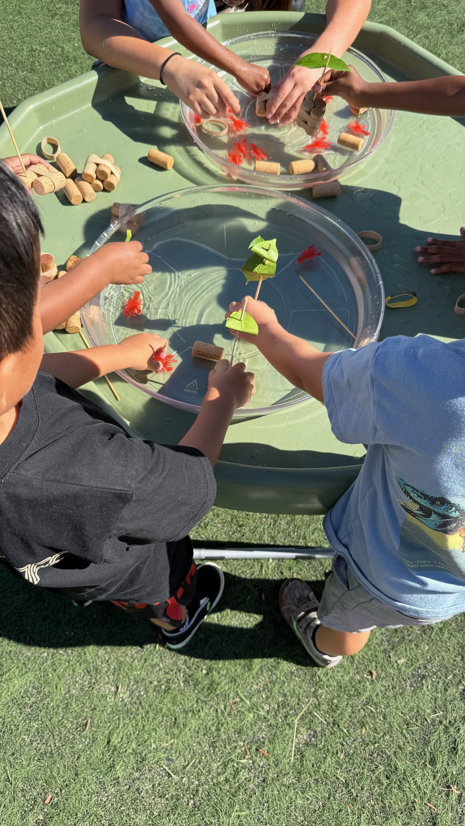 IMG_9578.JPG