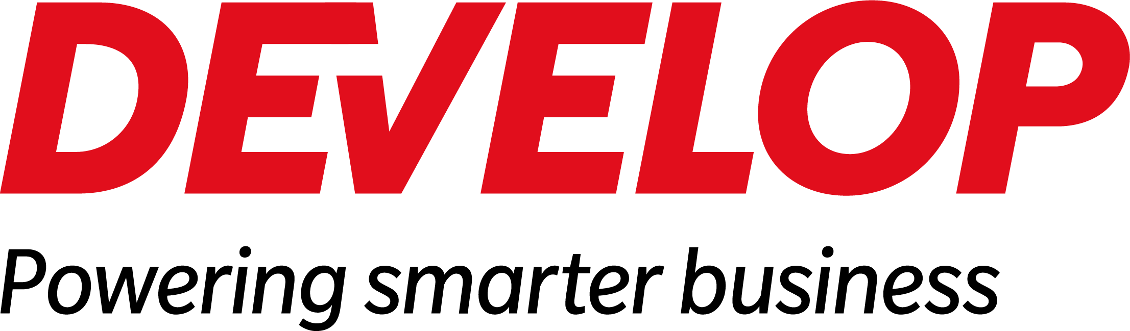 A bold red text logo spelling out 'DEVELOPER' in all caps, with the letters angled and italicized.