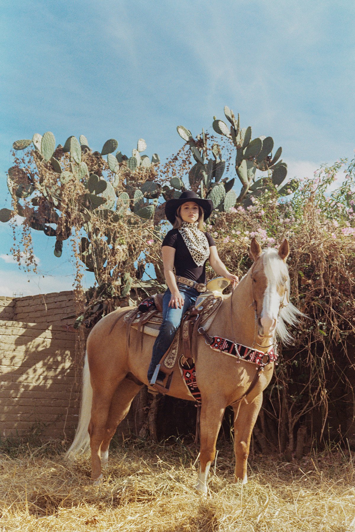 Angie Shockness-submission_04 - .jpg