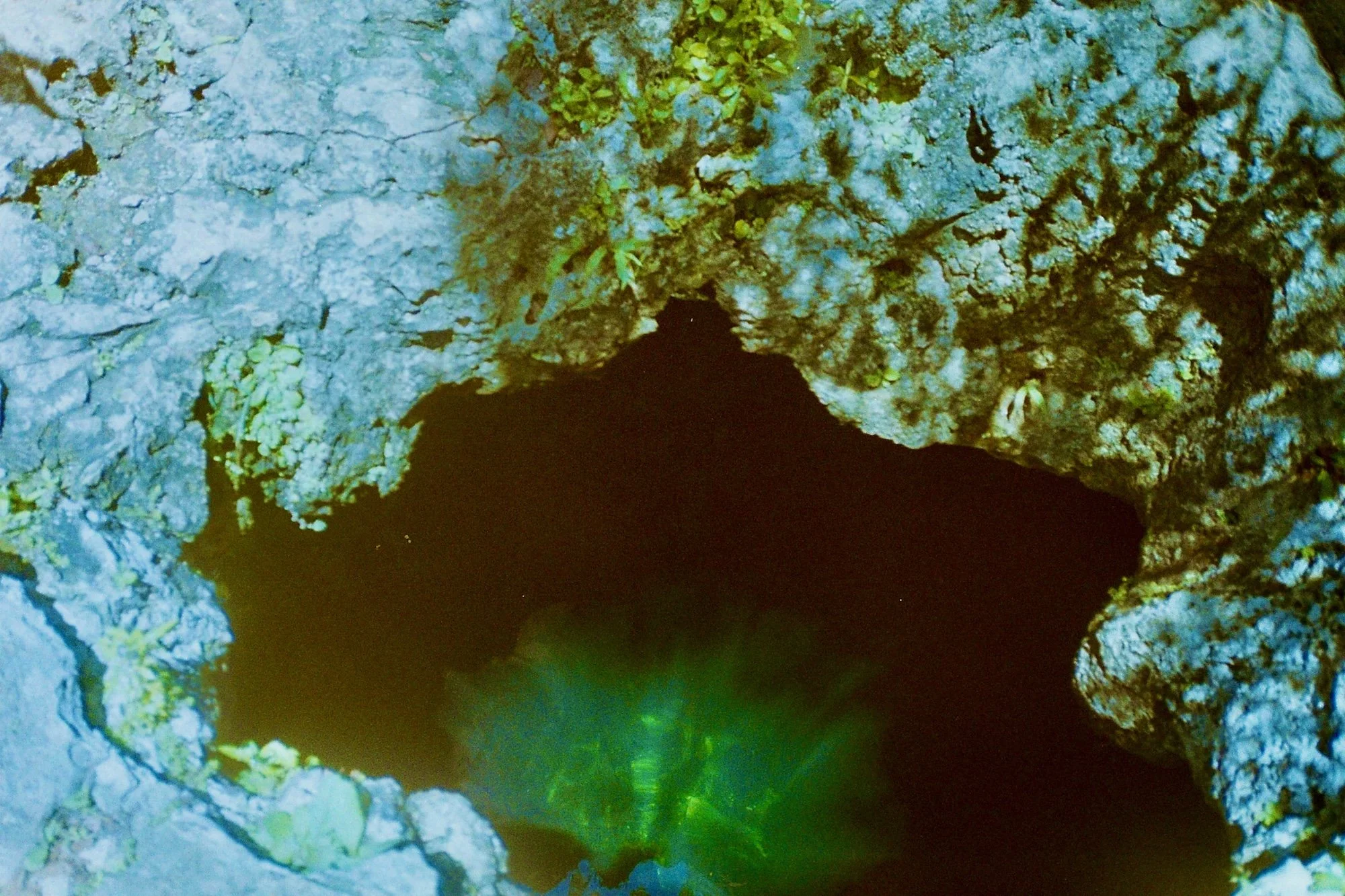 lorena guts00004.jpeg