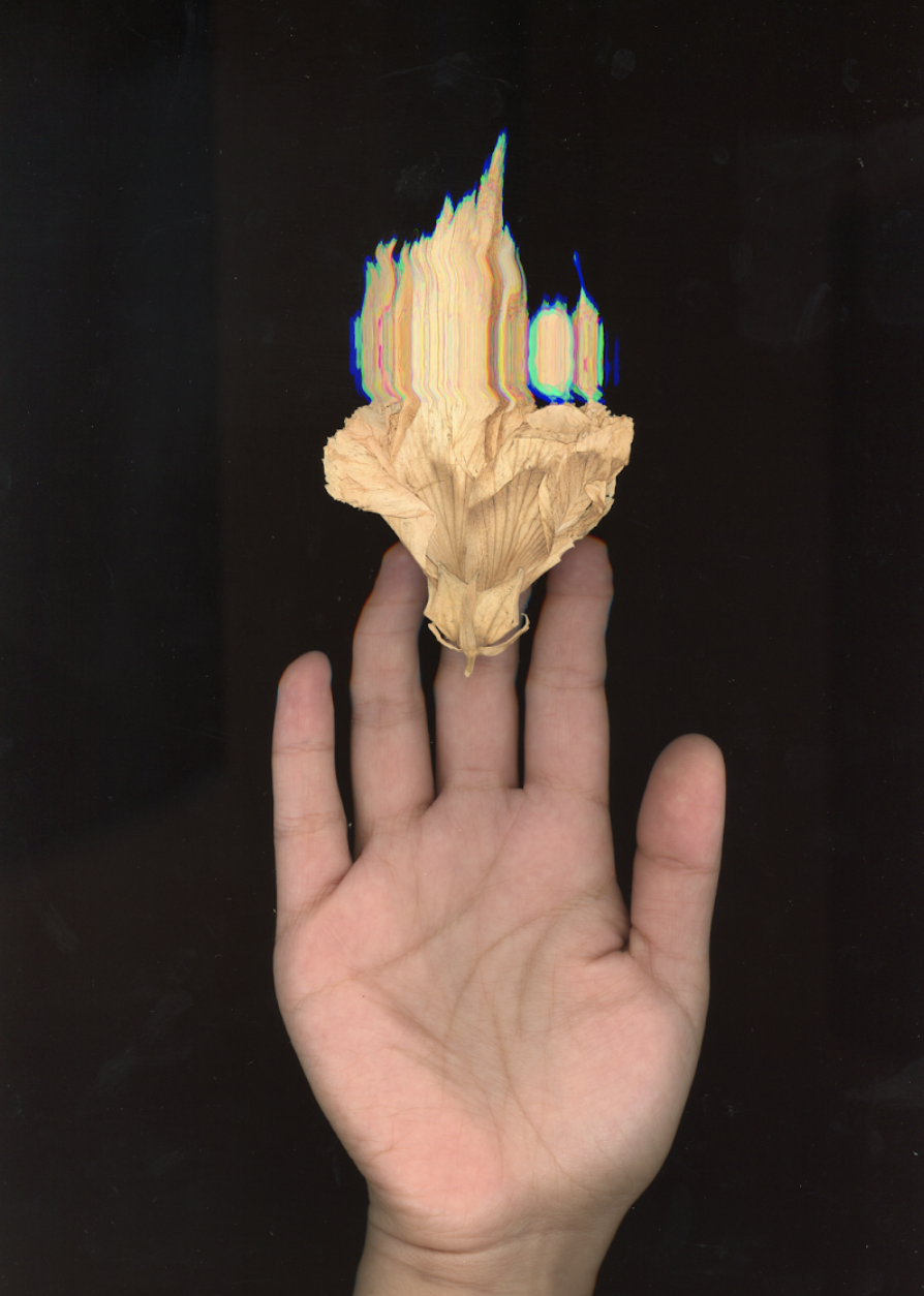 Screenshot 2026-04-14 at 9.20.40 PM.png