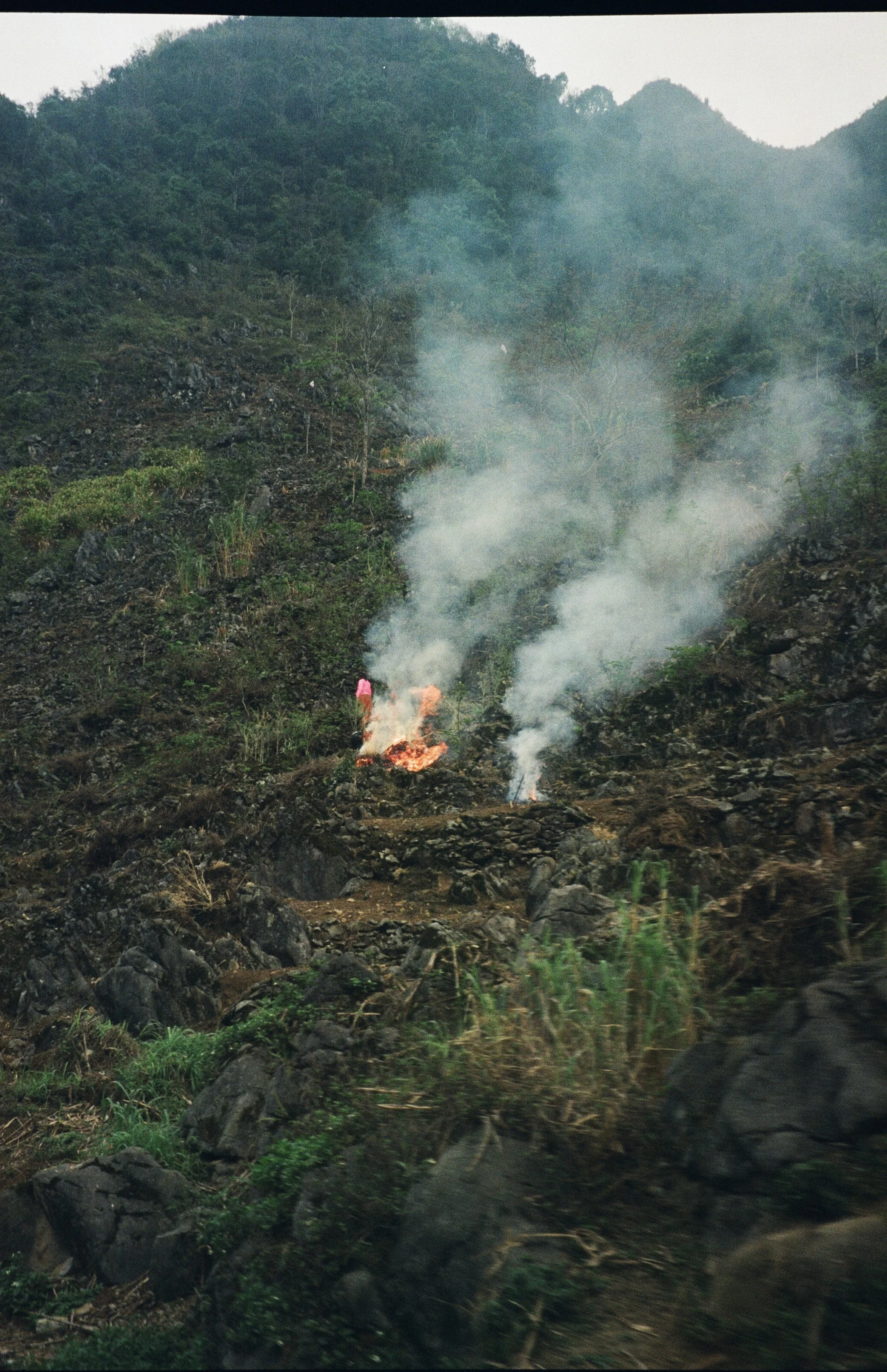 2026-03-21 17-57-49_1139.jpeg