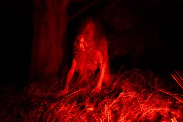 Cherry_feral2_sample - Cherry Bogue.jpeg