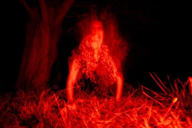 Cherry_Feral_sample - Cherry Bogue.jpeg