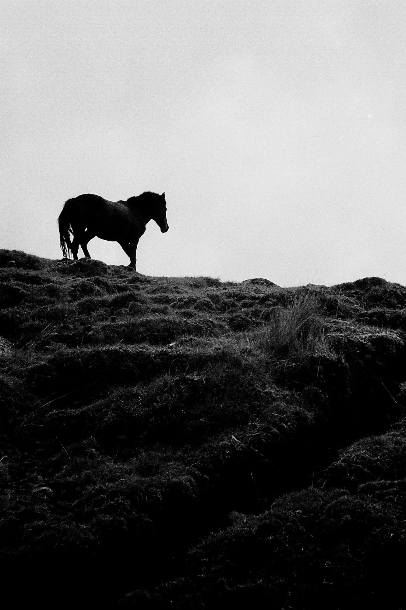 Lorena Jimenez-qelqanqa00002 - .jpeg