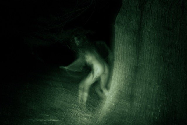 Cherry_percieved_sample - Cherry Bogue.jpeg