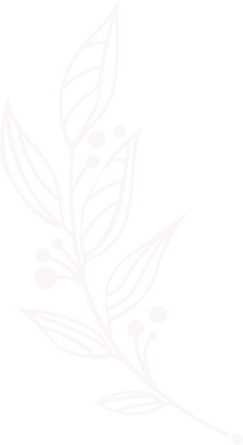 A purple line drawing of a botanical branch with leaves and small round berries on a black background.