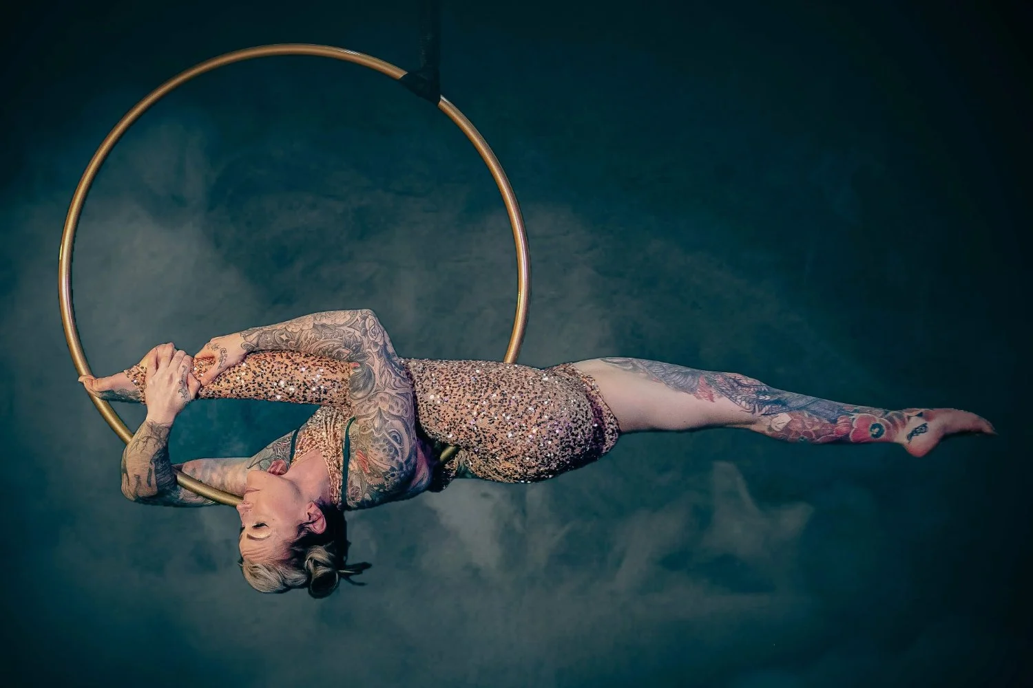 An aerial performer in a glittering costume
