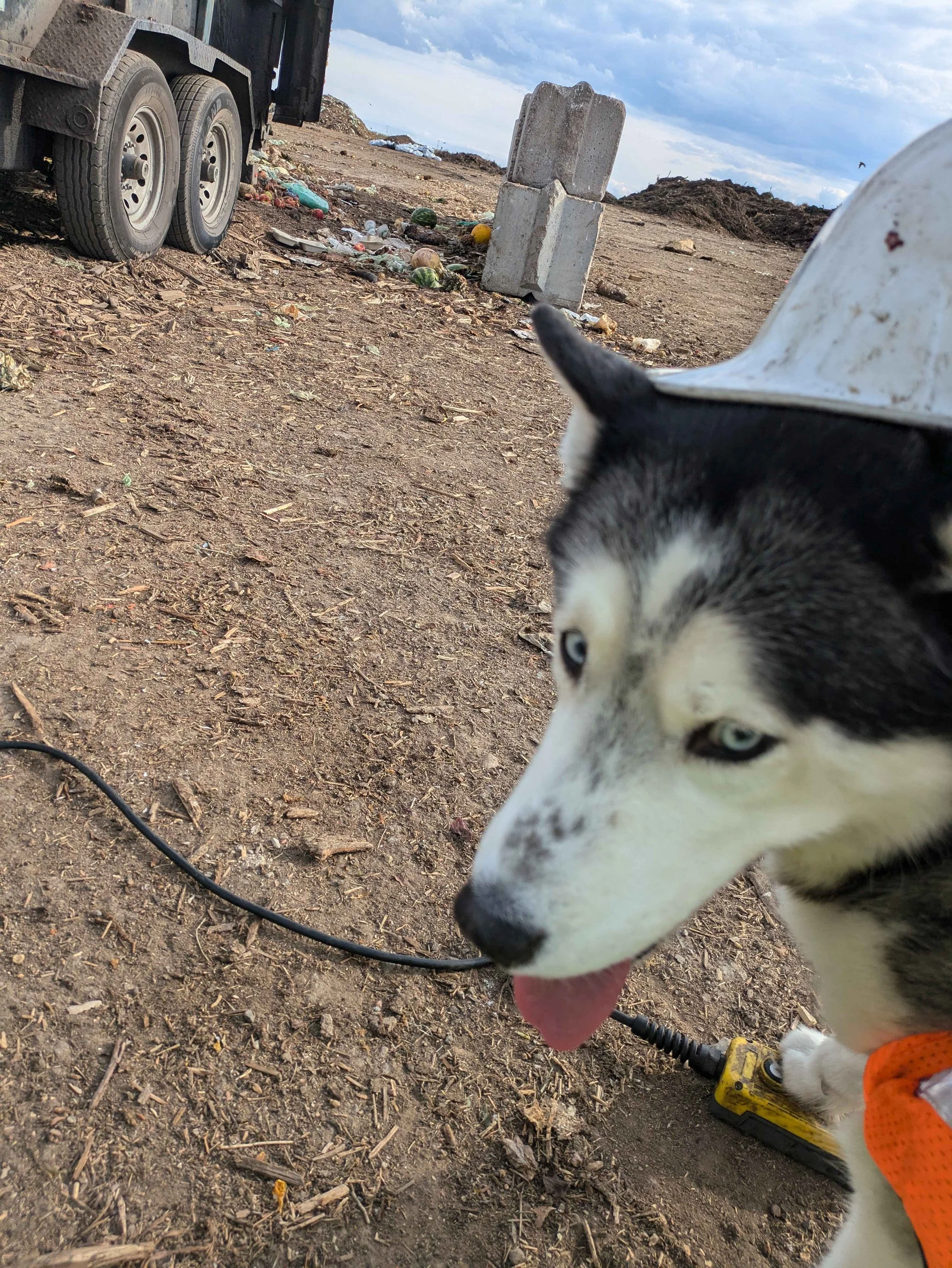 Denver Aurora Compost Composting service