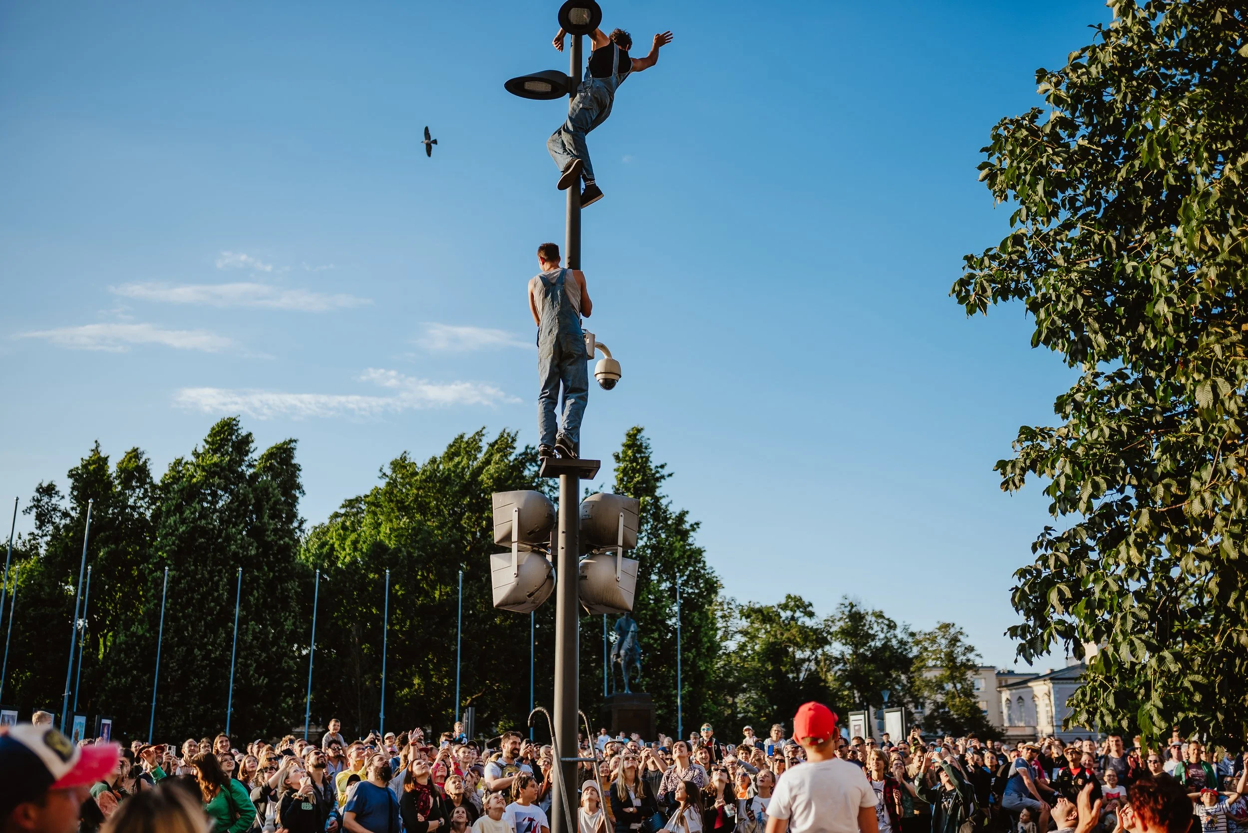 © Katarzyna Anna Kubiak