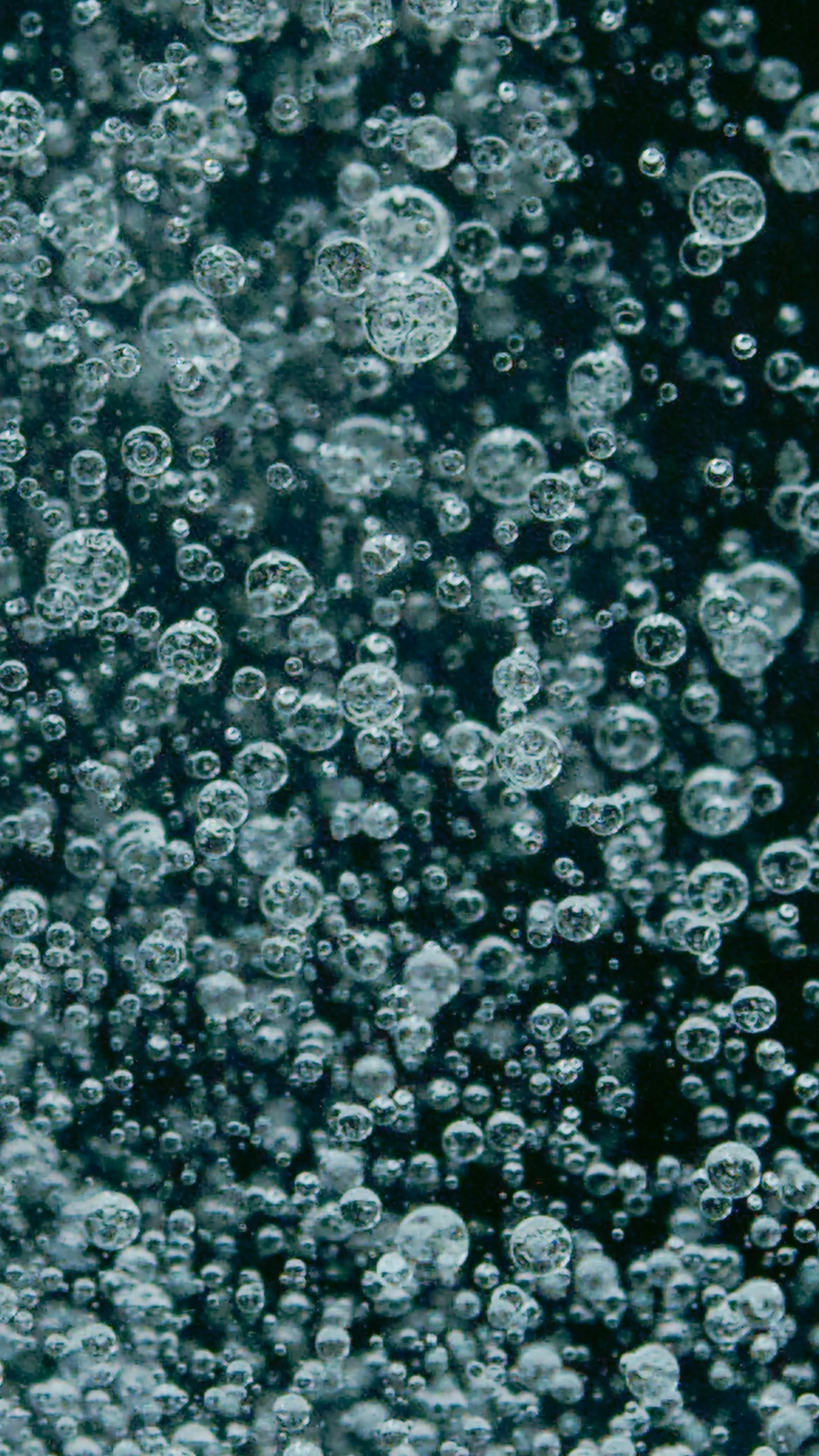 Close-up of carbonated soda bubbles in a dark liquid.