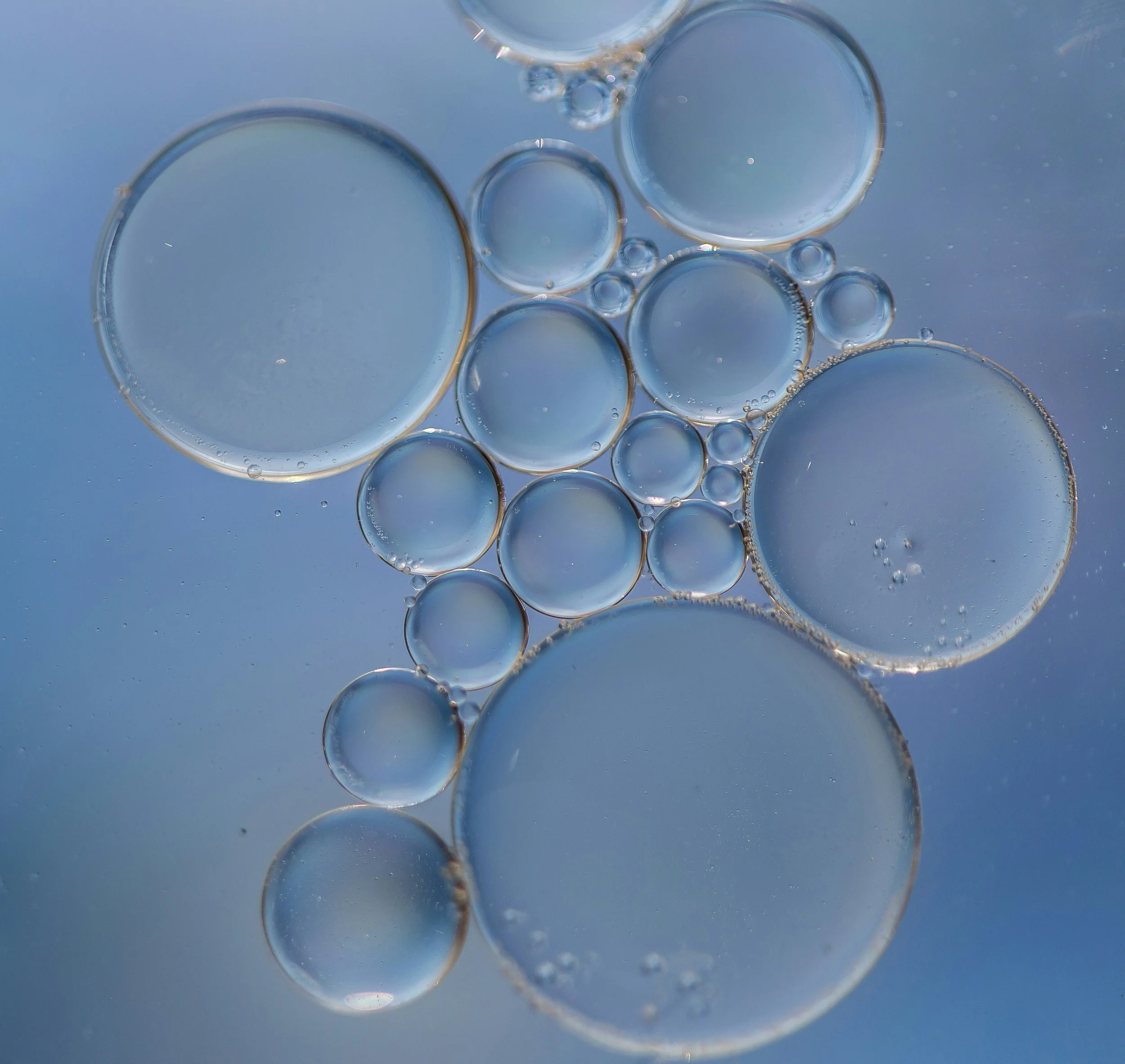 Close-up of various-sized oil droplets suspended in water, creating a pattern of circular shapes against a blue background.