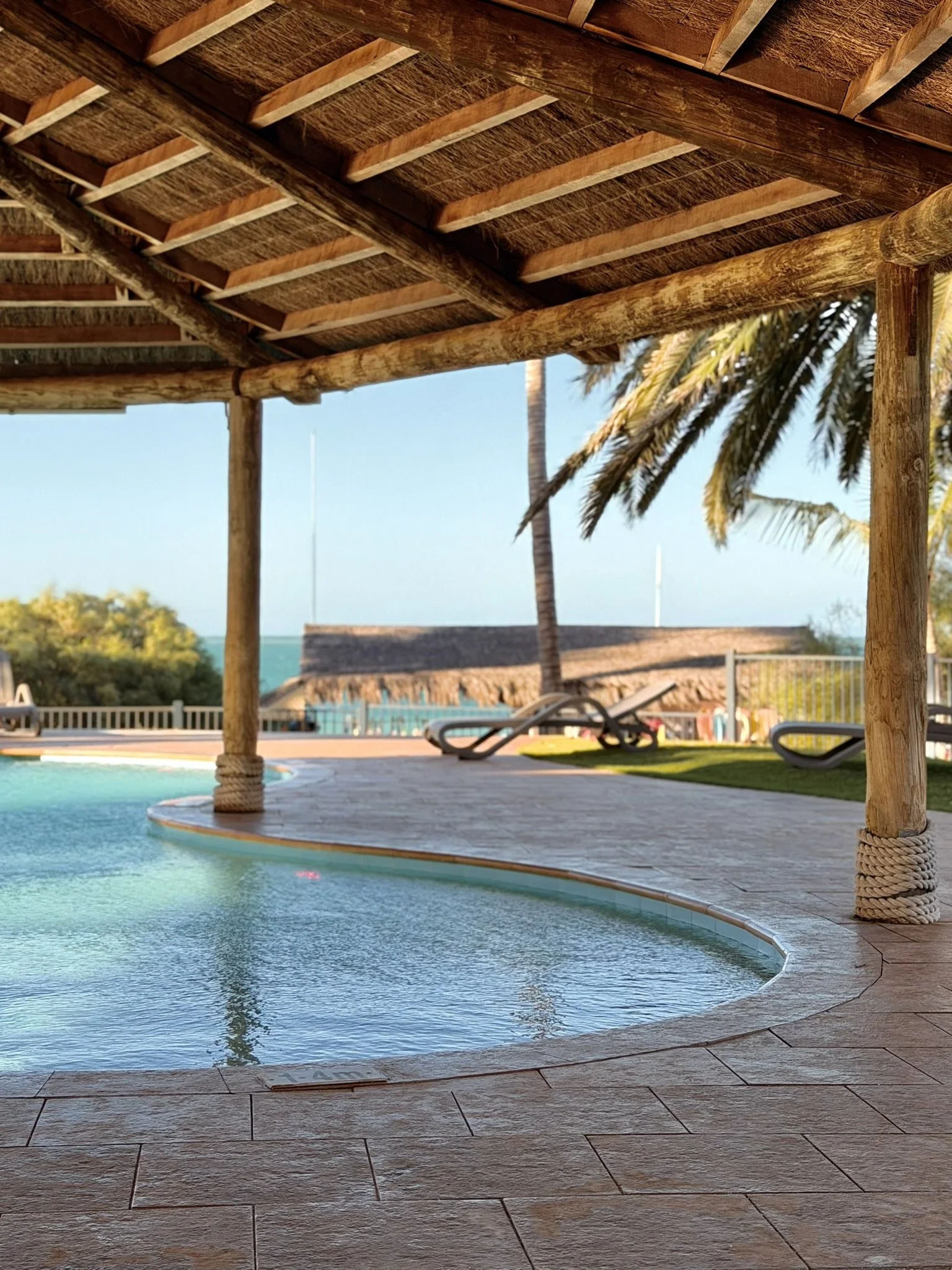 Swimming pool area with a thatched roof cabana, lounge chairs, palm trees, and a distant view of the ocean.