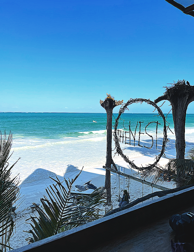 Beach scene with blue sky and ocean waves, wooden structure with hanging swing and a circular sign that says 'HINS', palm leaves in the foreground.