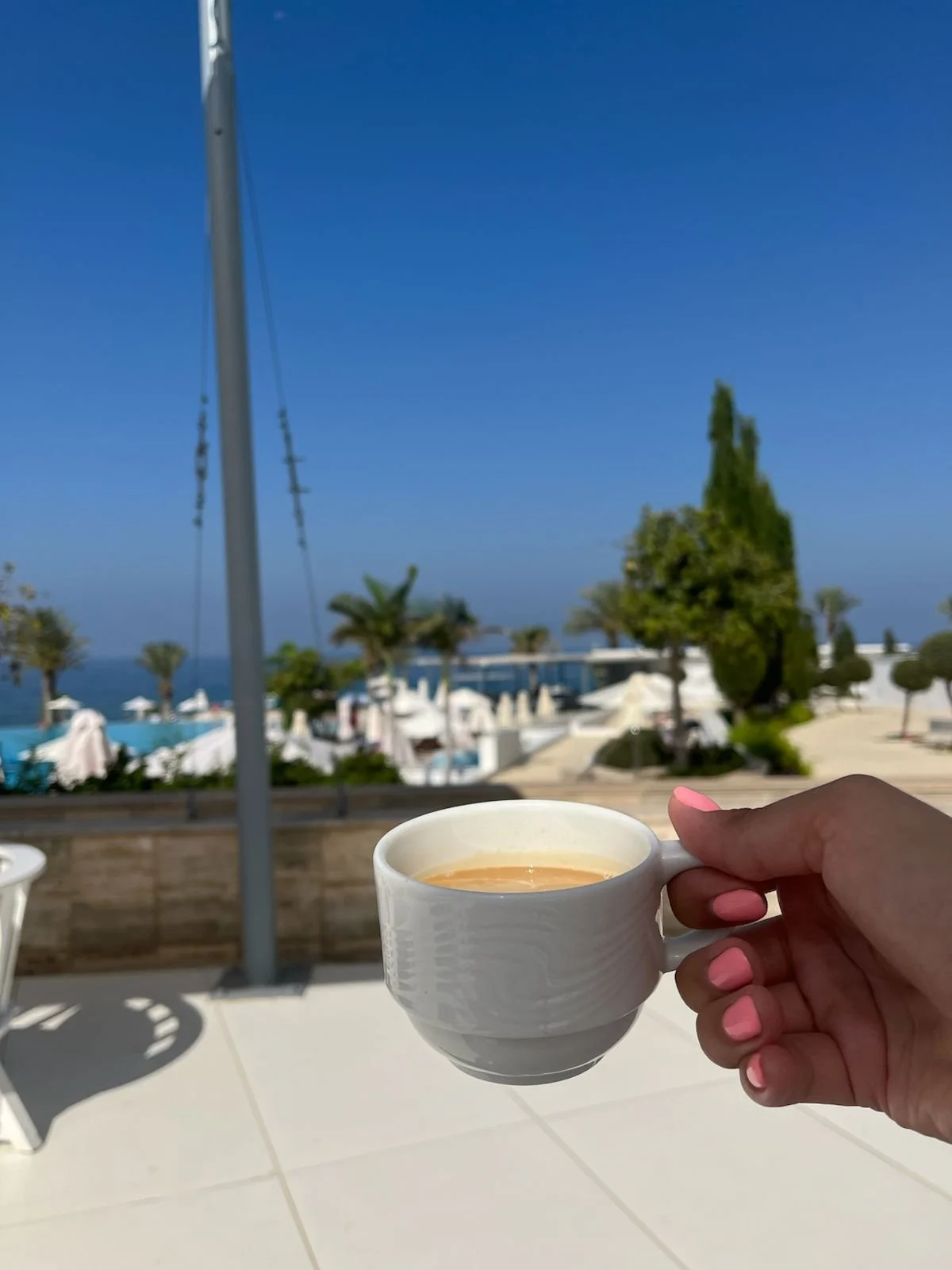 WhatsApp Image 2026-02-01 at 16.04.34.jpeg