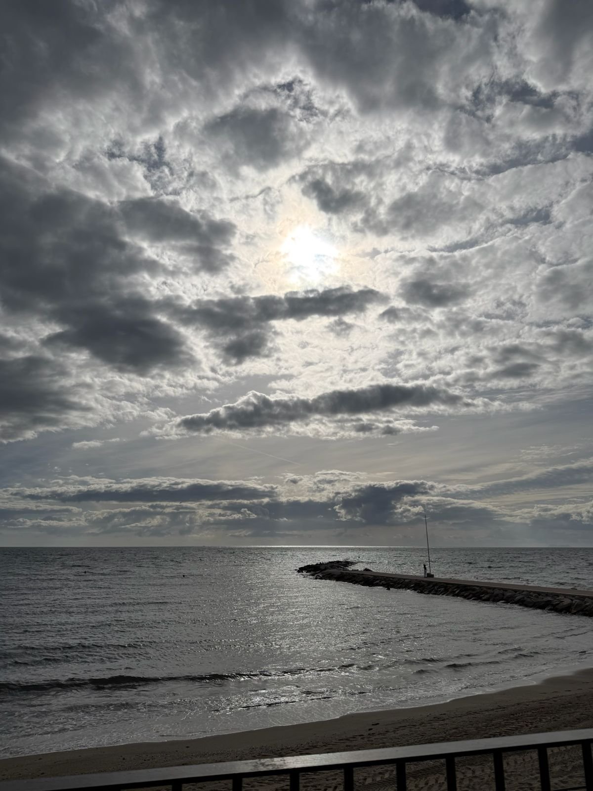 WhatsApp Image 2026-02-01 at 16.54.11 (7).jpeg