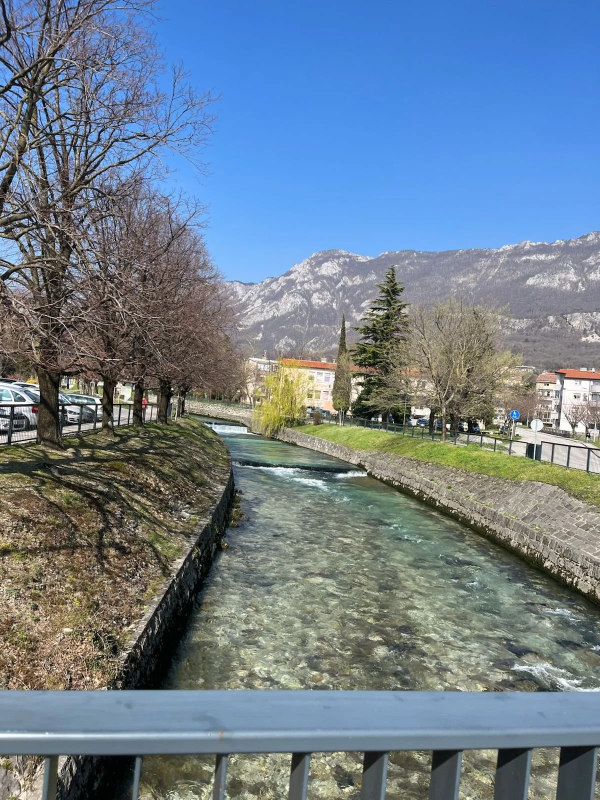 WhatsApp Image 2026-01-10 at 09.51.13.jpeg