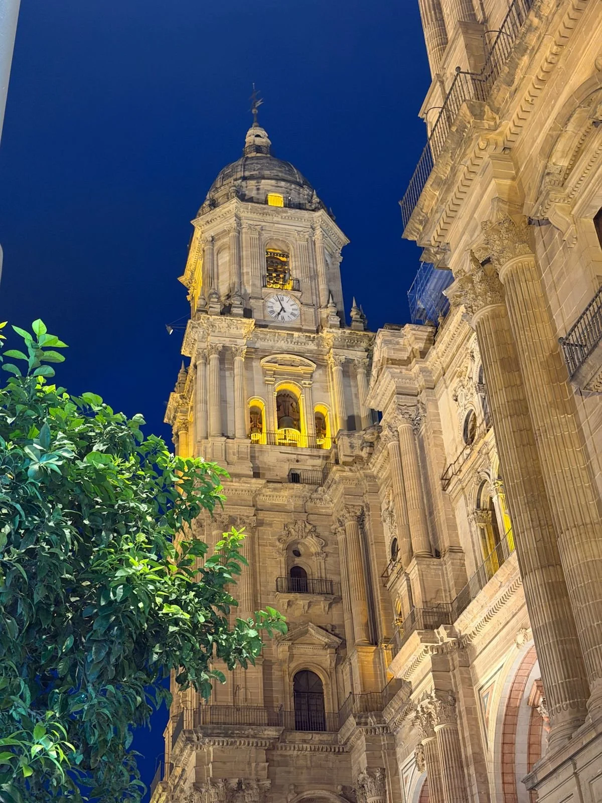 WhatsApp Image 2026-02-01 at 16.54.11 (2).jpeg