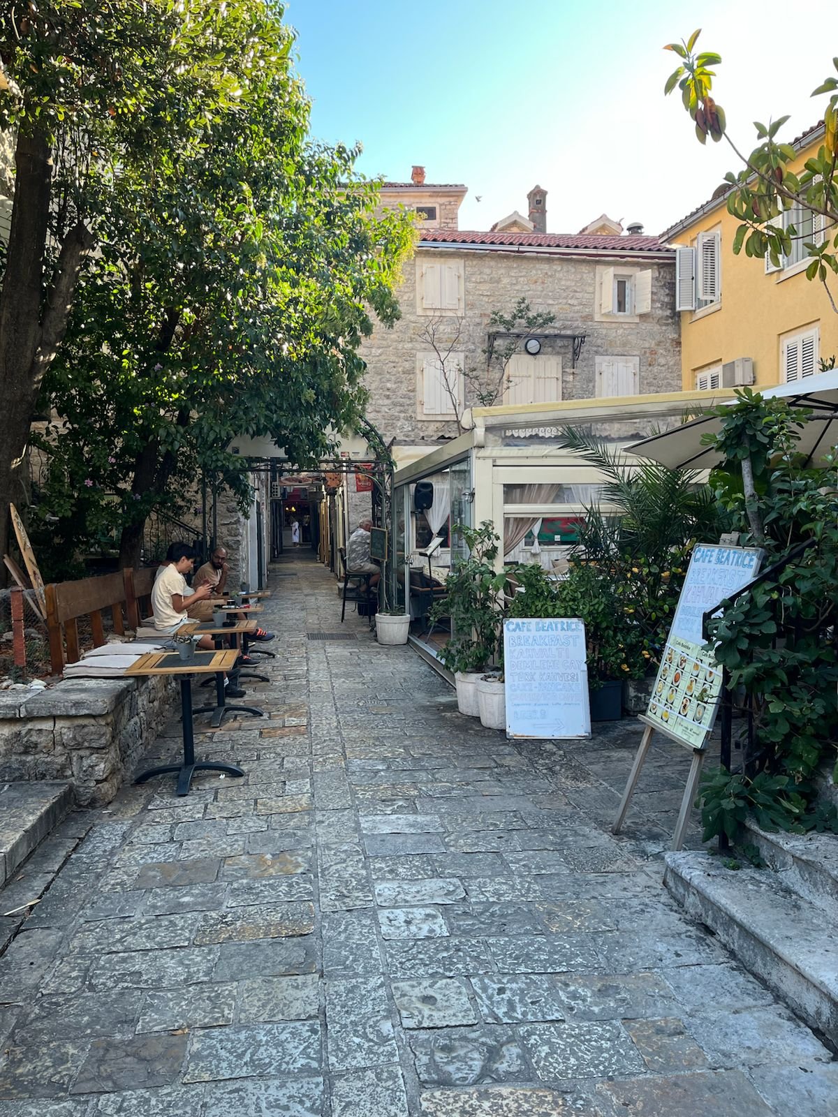 WhatsApp Image 2026-01-19 at 16.15.57.jpeg