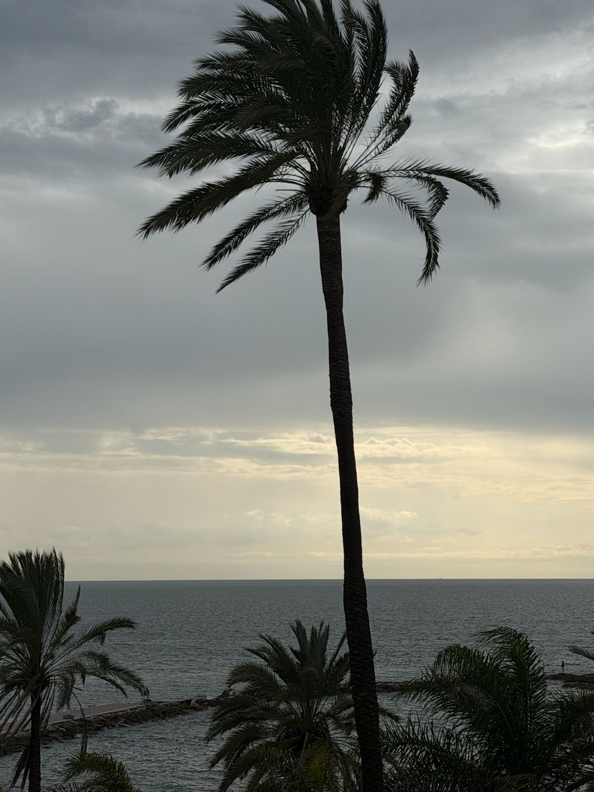 WhatsApp Image 2026-02-01 at 16.54.10.jpeg