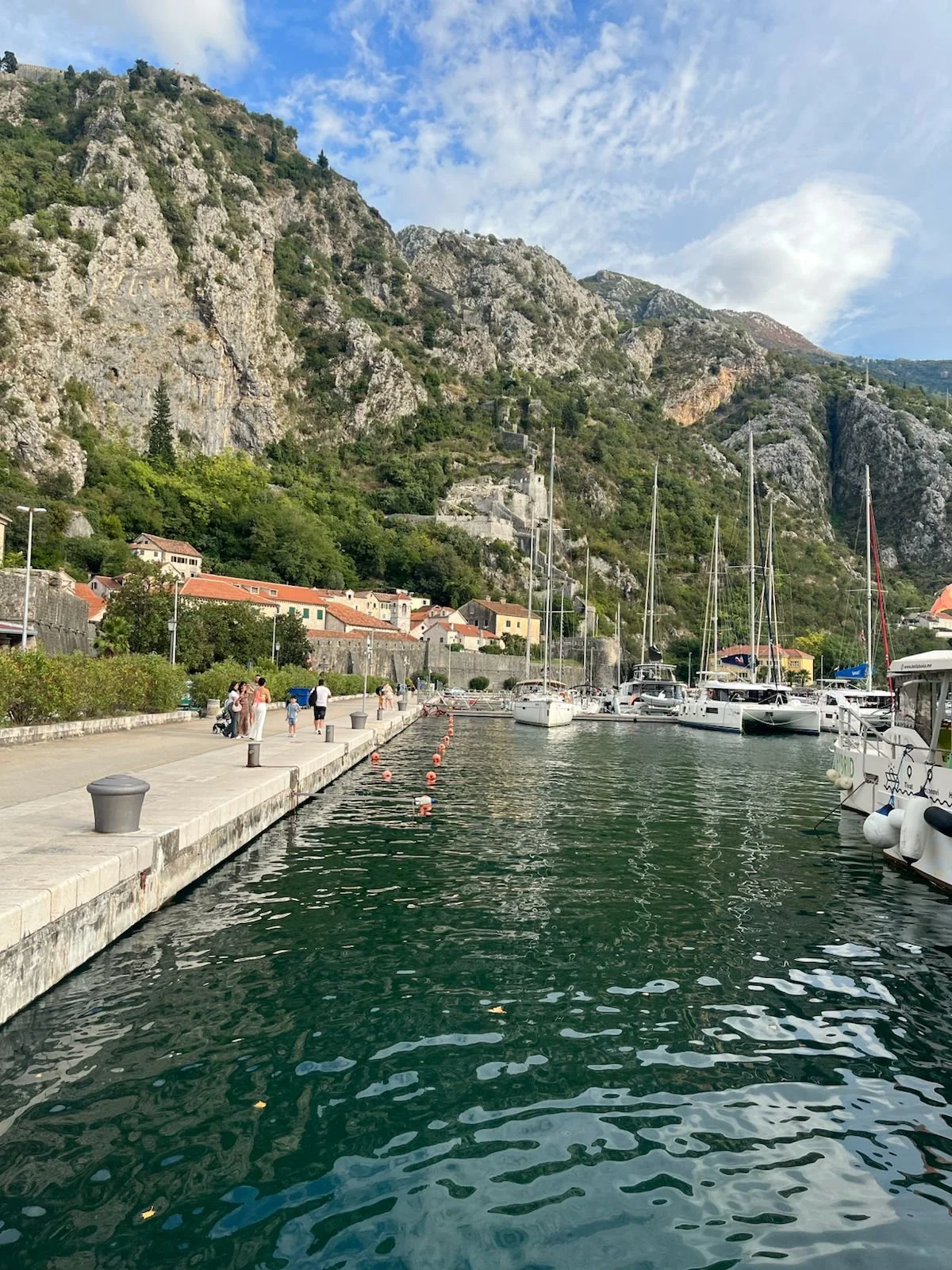 WhatsApp Image 2026-01-19 at 16.15.58 (2).jpeg